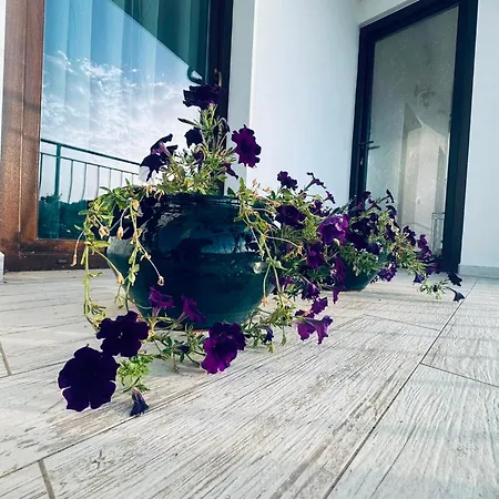 Borgo San Narciso 게스트하우스 시니스콜라