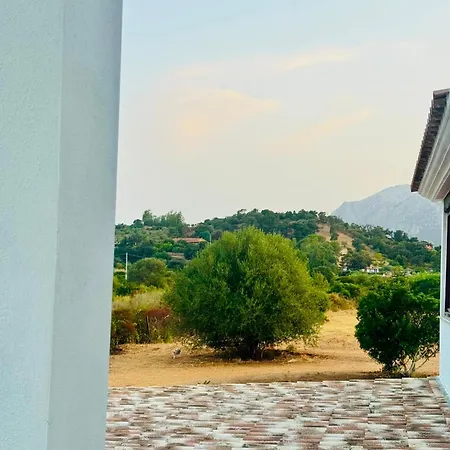 Borgo San Narciso סיניסקולה
